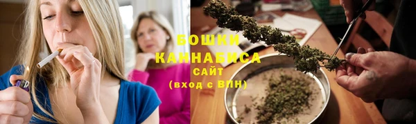 ПСИЛОЦИБИНОВЫЕ ГРИБЫ Нея