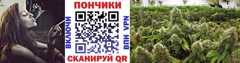 Конопля ГИДРОПОН  Пролетарск 